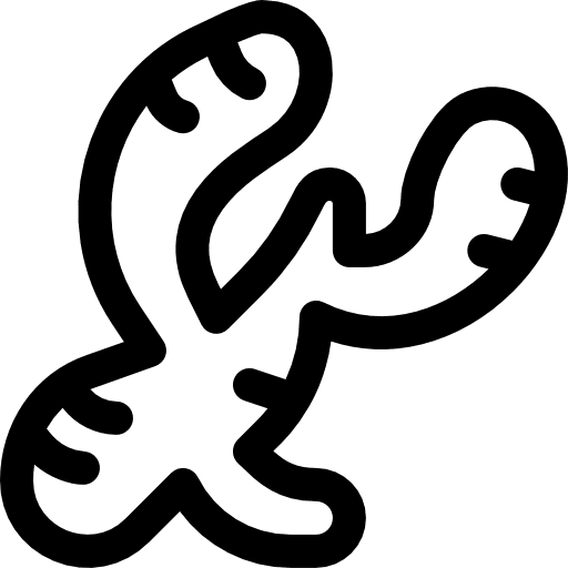 Ginger nutrition vegetarian food and restaurant icon