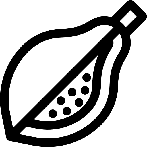 Papaya vegetarian food and restaurant healthy food icon