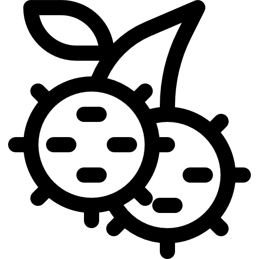 Rambutan rambutan food lychee icon