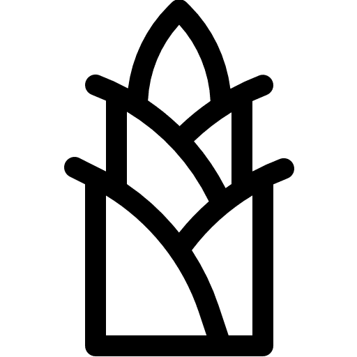 Bamboo food and restaurant plants plant icon