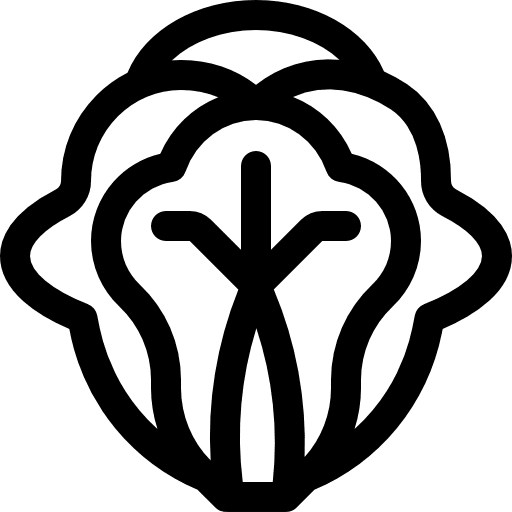 Cabbage food food and restaurant diet icon