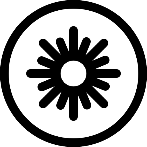 Kiwi diet kiwi vegetarian icon