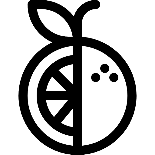 Orange healthy food organic vegan icon