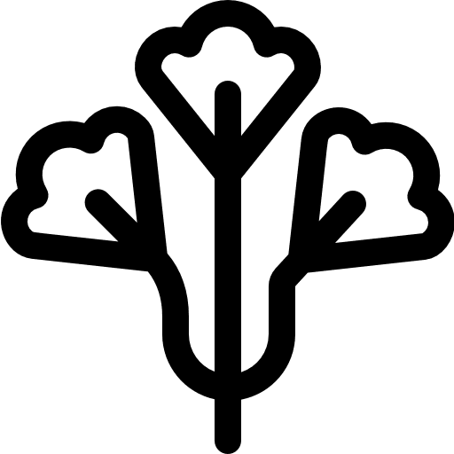 Parsley food food and restaurant healthy food icon