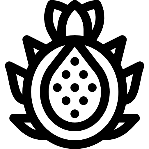 Pitaya diet food food and restaurant icon