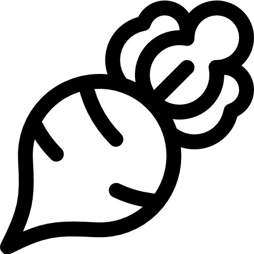 Radish vegan healthy food food icon