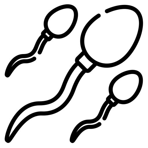 Sperm sex fertilization fertility icon