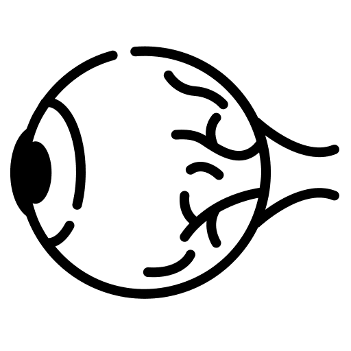 Eye healthcare and medical retinal iris icon