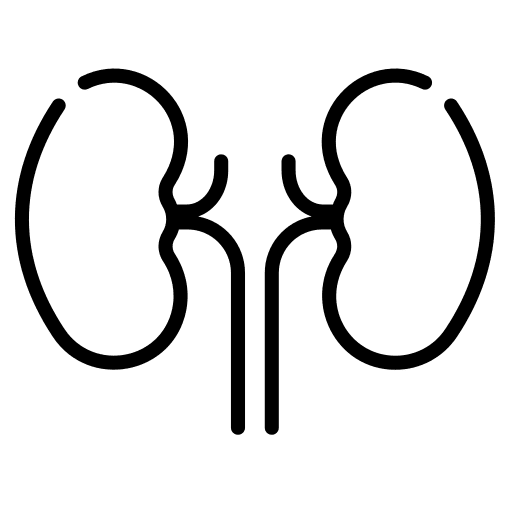 Kidney kidneys healthcare and medical urologist icon