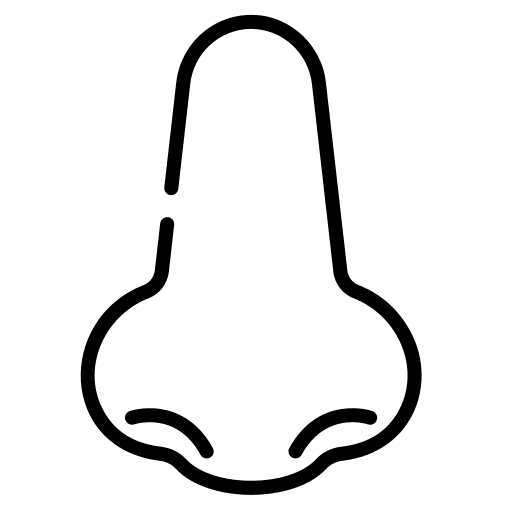 Nose healthcare and medical smell face icon