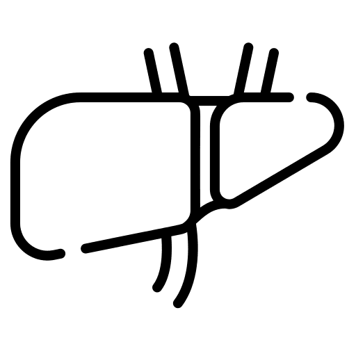 Liver liver healthcare and medical anatomy icon
