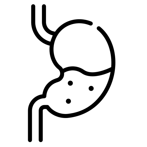Stomach anatomy healthcare and medical stomach icon