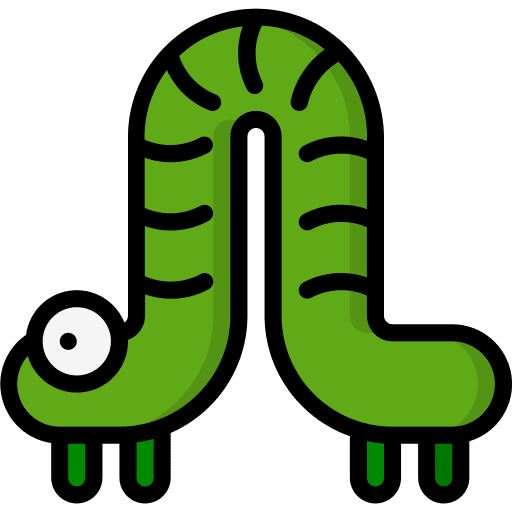 Caterpillar animal caterpillar zoology icon