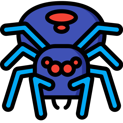Spider animal insect entomology icon