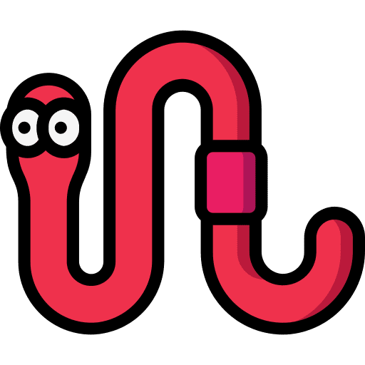 Worm bug entomology worm icon