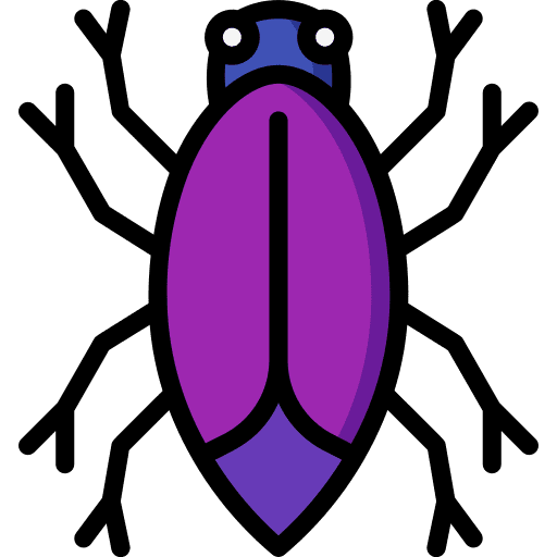 Insect bug animal entomology icon