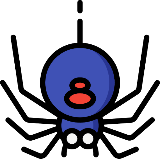 Spider spider entomology zoology icon