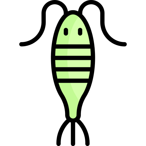 Plankton marine plankton bacteria icon