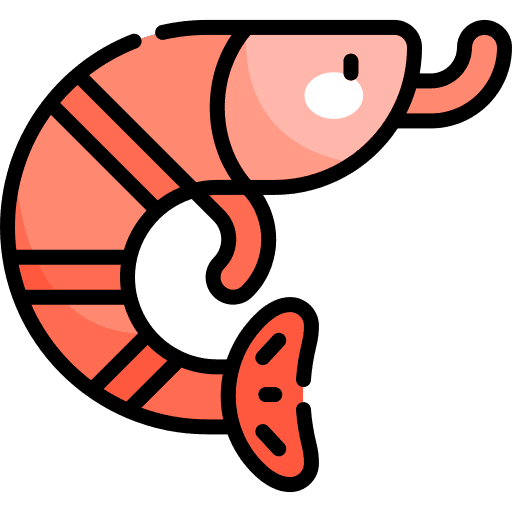 Prawn marine animal kingdom crustacean icon