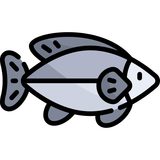 Tuna wild life tuna sea life icon