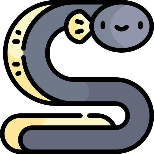 Eel marine wild life seafood icon