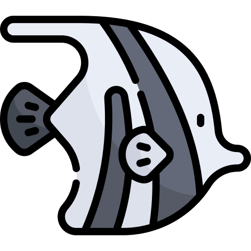 Fish fish animal kingdom sea life icon