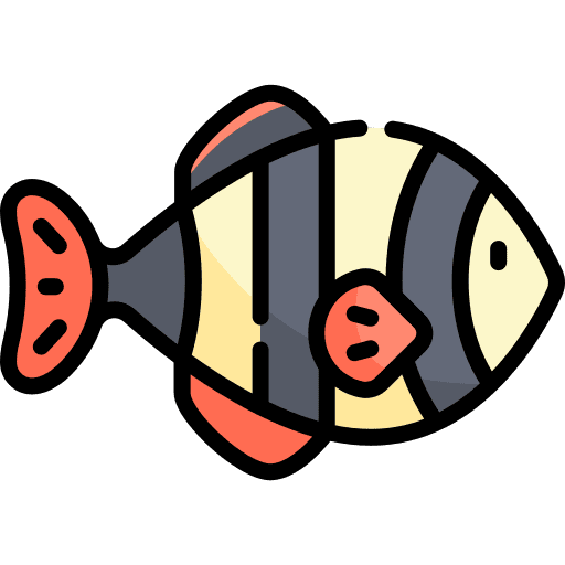 Fish fish seafood aquatic icon