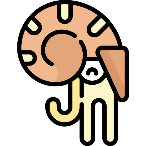 Nautilus marine animals sea life icon