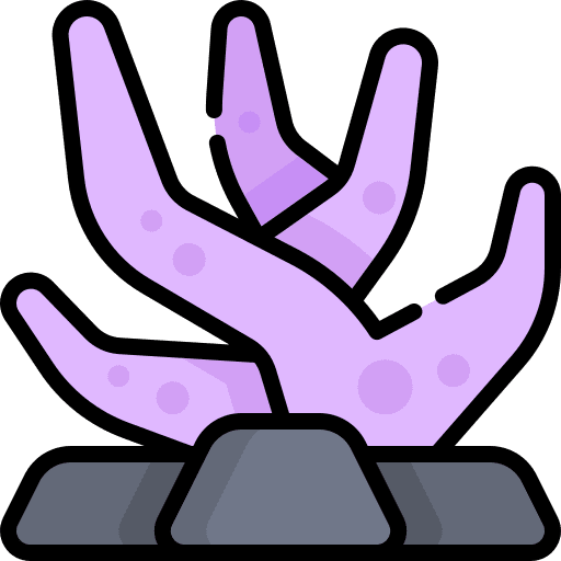 Coral coral sea life aquatic icon