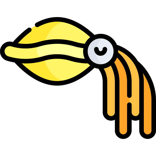 Cuttlefish sea life animal kingdom wild life icon
