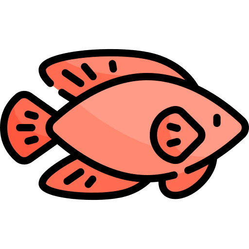 Fish aquatic animal kingdom marine icon