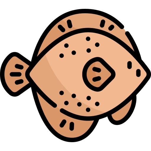 Flounder flounder sea life wild life icon