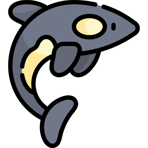 Killer whale animal kingdom sea life aquatic icon