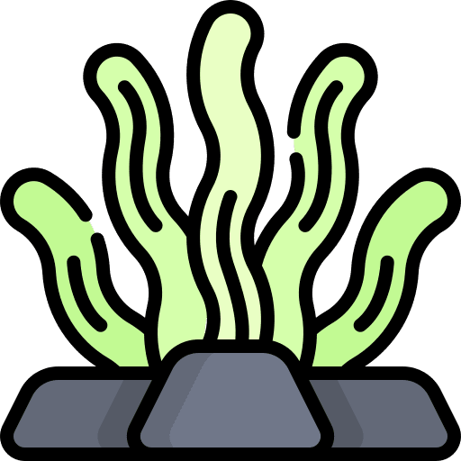 Seaweed marine plant sea life icon