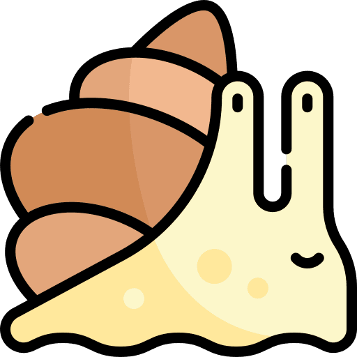 Snail shell animals snail icon