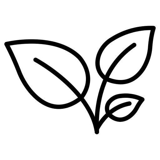 Sprout leaves leaf sprout icon