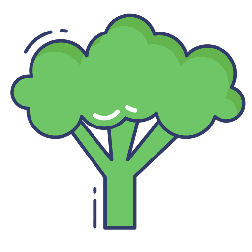 Broccoli healthy food vegan diet icon
