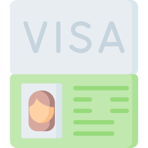Visa passport user ticket icon