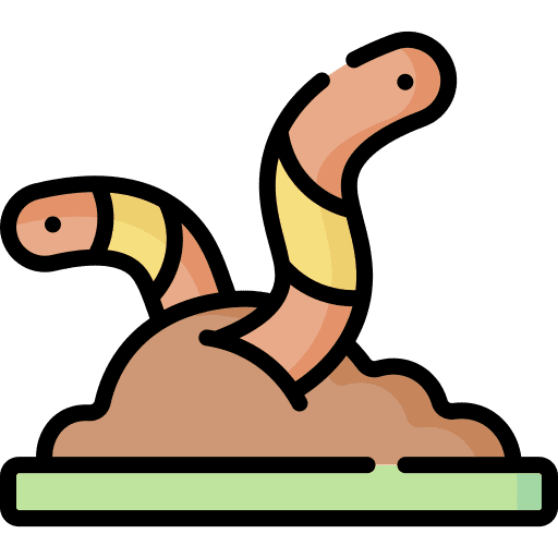 Worm soil worm animals icon