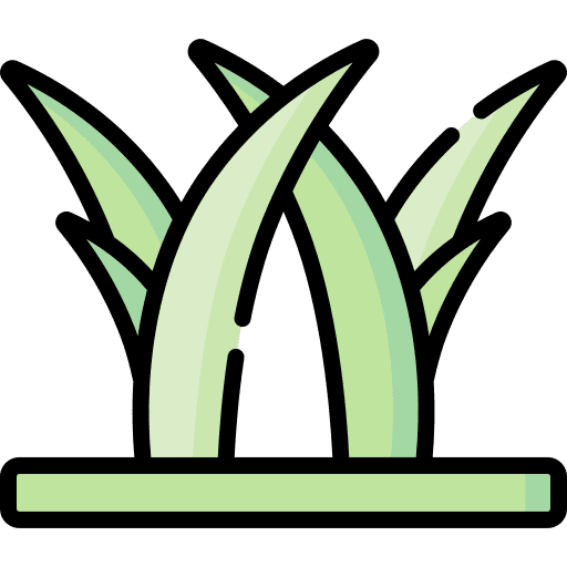 Grass garden grass leaves icon