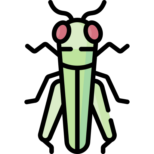 Grasshopper animals wildlife grasshopper icon