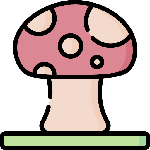 Mushroom mushroom vegetarian muscaria icon