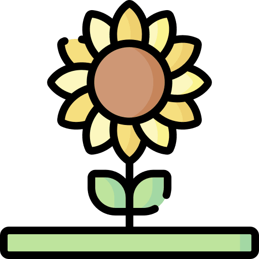Sunflower nature leaf garden icon