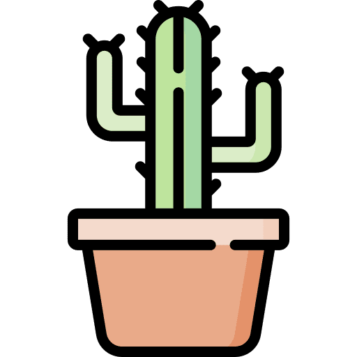 Cactus plant cactus nature icon