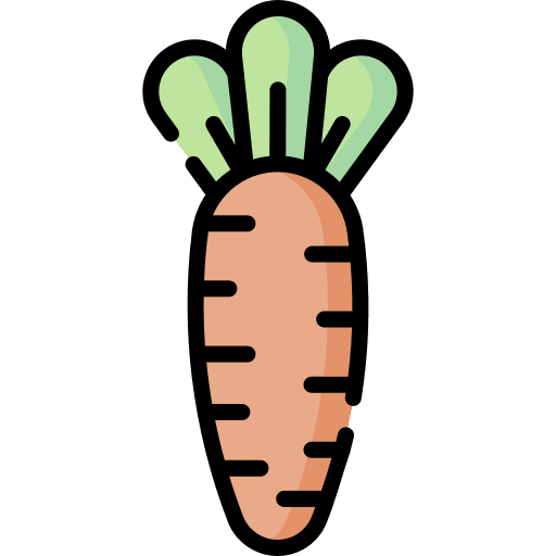 Carrot vegetarian healthy food organic icon