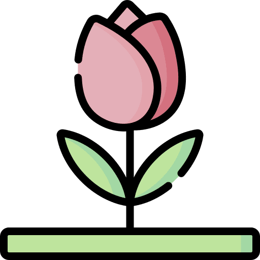 Tulip nature tulip flower icon