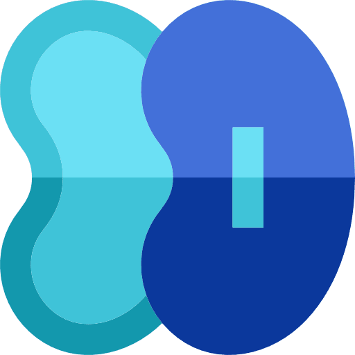 Kidneys dish medical urology icon