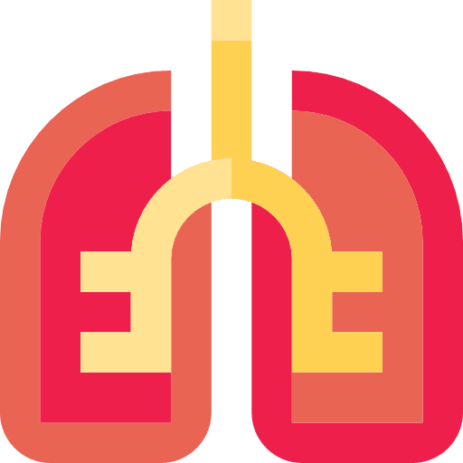 Lungs lung lungs anatomy icon