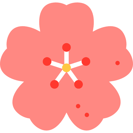 Cherry blossom bloom blossom cherry icon