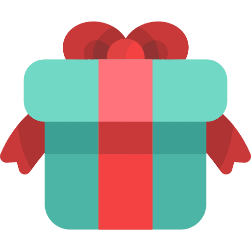 Present birthday surprise christmas icon